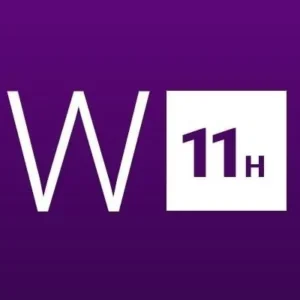 Buy Windows 11 Home + MS Office Professional Plus 2019 - Bundle Global MS Products