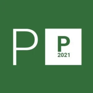 Buy Project Professional 2021 Global MS Products