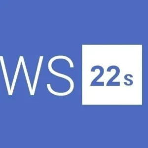 Buy Windows Server 2022 Standard 2 Users Global MS Products