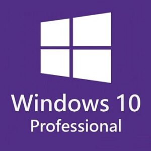 Windows 10 Professional